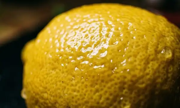 Pourquoi consommer le zeste d’un citron non bio est un véritable danger pour la santé
